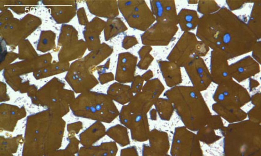 Figure 1: Clinker with small reactive alite crystals.
